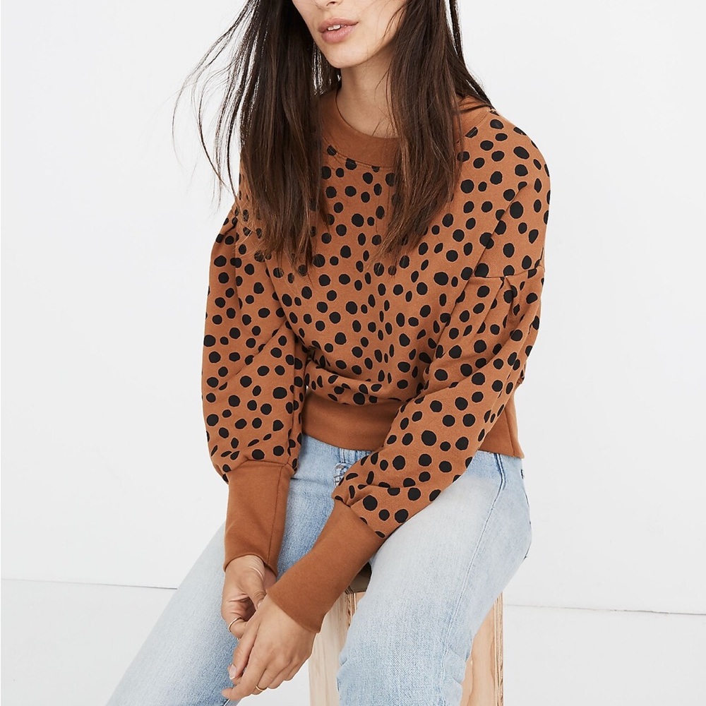 Madewell Pleat-Sleeve Sweatshirt